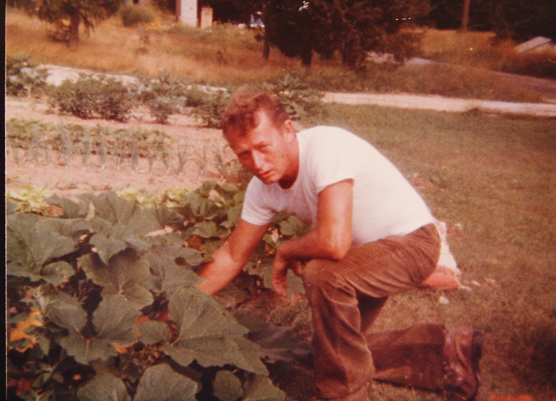 My beautiful picture